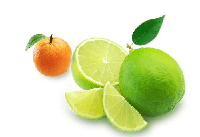 Web Design Dubai UAE